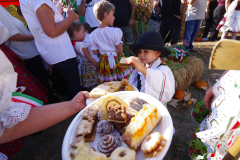 IMGP8075_1