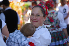IMGP8136_1