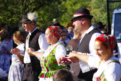 IMGP8181_1