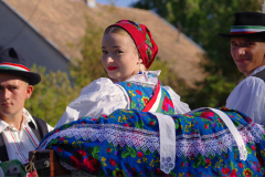 IMGP8232_1