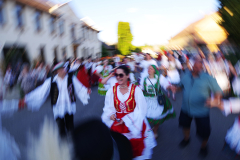 IMGP8383_1