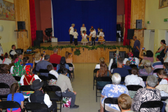 IMGP8433_1