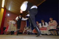 IMGP8573_1